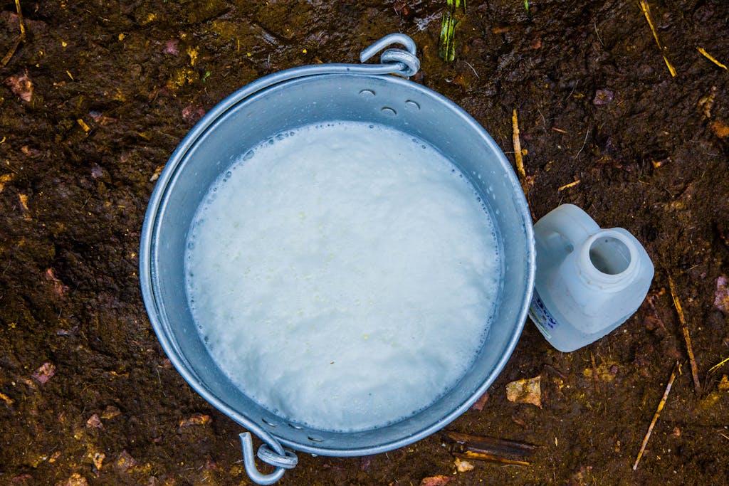 Bucket of Water With Soapy Solution Added to it | 5 Ways to Spiritually Cleanse your home -Floor Wash