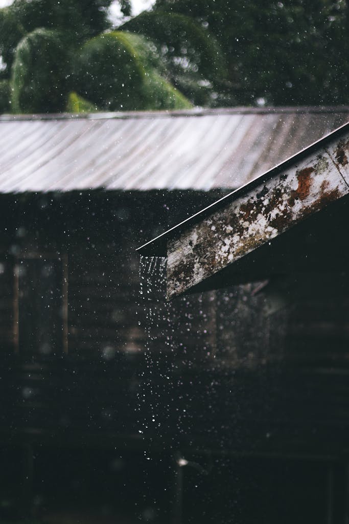 Corrugated Metal Sheet of House during Rainy Daytime || The Spiritual significance of rain water in Hoodoo